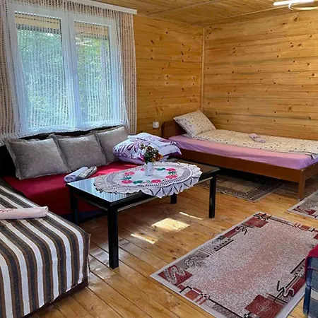 Jana Apartment Divcibare